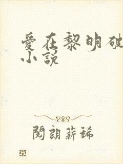 爱在黎明破晓前小说