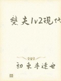 双夫1v2现代