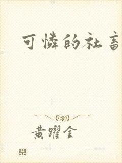 可怜的社畜分手
