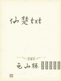仙楚txt封面