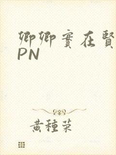 卿卿实在贤良NPN