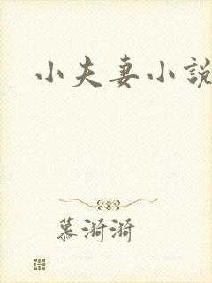 小夫妻小说封面