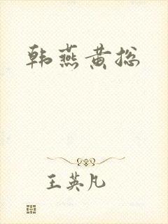 韩燕黄总