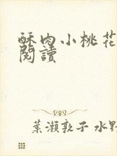 酥肉小桃花全文阅读