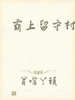 霸上留守村妇封面