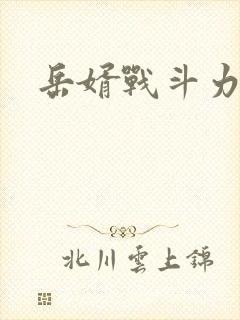 岳婿战斗力