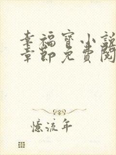 幸福宝小说最新章节免费阅读封面