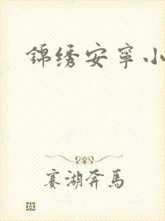 锦绣安宁小说