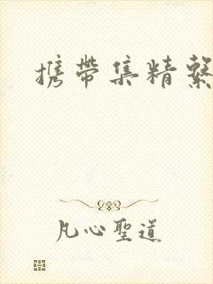 携带集精系统封面