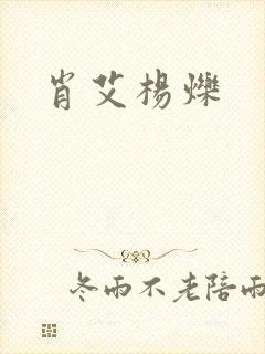 肖艾杨烁封面