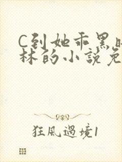 C到她乖黑暗森林的小说免费