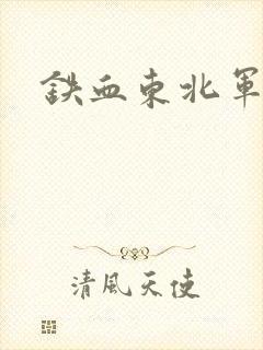 铁血东北军