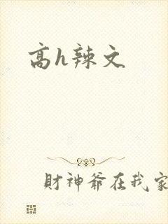 高h辣文