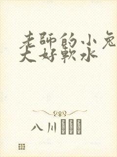 老师的小兔子好大好软水