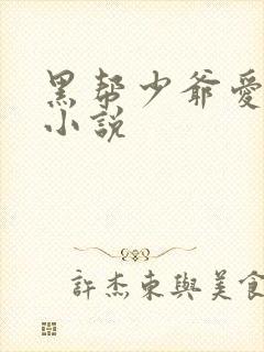 黑帮少爷爱上我小说