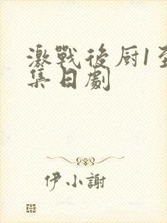 激战后厨1至5集日剧