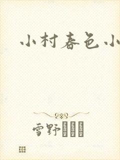 小村春色小说封面