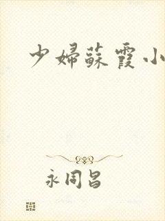 少妇苏霞小说