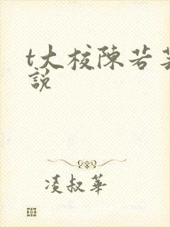 t大校陈若芸小说封面