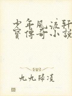 少年风流轩辕大宝传奇小说封面