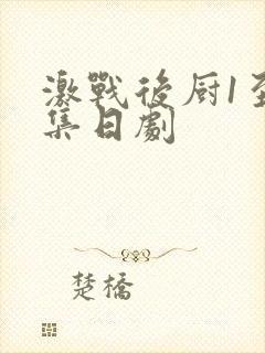 激战后厨1至5集日剧