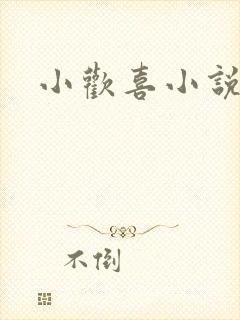 小欢喜小说
