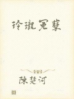玲珑冤孽封面