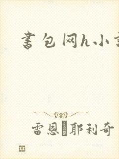 书包网h小说封面