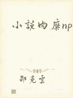 小说肉糜np封面