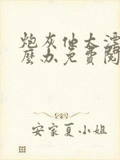 炮灰他太漂亮怎么办免费阅读封面