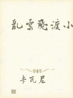 乱云飞渡小说