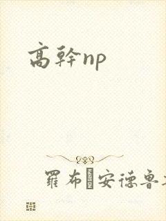 高干np