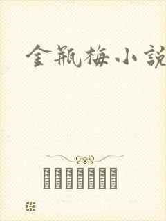 金瓶梅小说下载