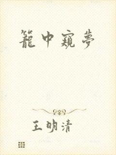 笼中窥梦