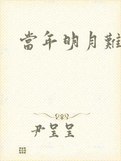 当年明月难寻封面