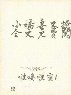 小娇妻又撩又甜全文免费阅读