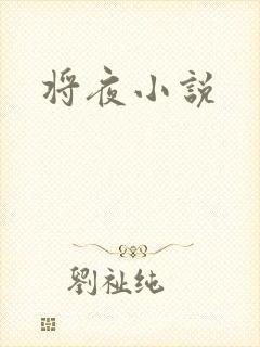 将夜小说封面