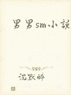 男男sm小说封面