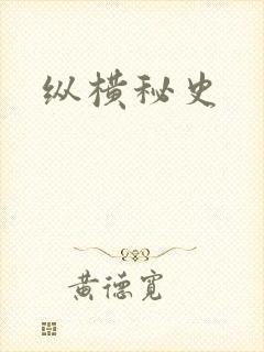 纵横秘史封面