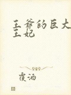 王爷的巨大进入王妃