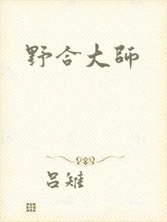 野合大师封面