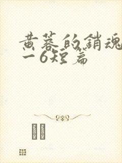 黄蓉的销魂夜1一6短篇封面