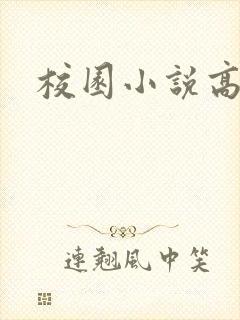 校园小说高h封面