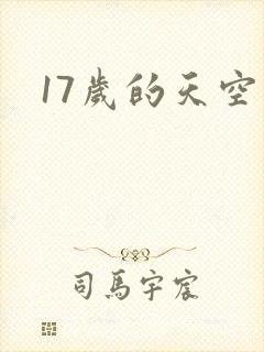 17岁的天空封面