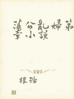 荡公乱妇第51章小说