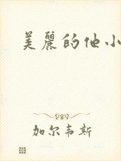 美丽的他小说