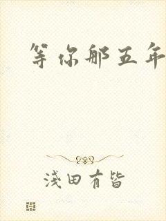 等你那五年