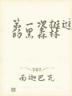 第一次挺进麻麻的黑森林