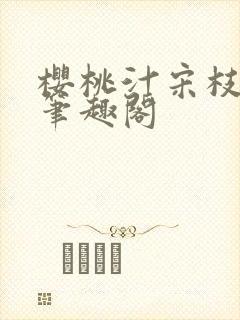 樱桃汁宋枝江野笔趣阁封面