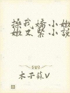 搡我娇小嫩苞又嫩又紧小说